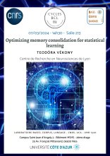 Optimizing memory consolidation for statistical learning