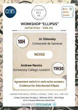 Workshop "Ellipsis"